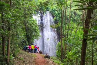 Tigoni Waterfalls Day Hike